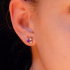 Sumire -coppia-